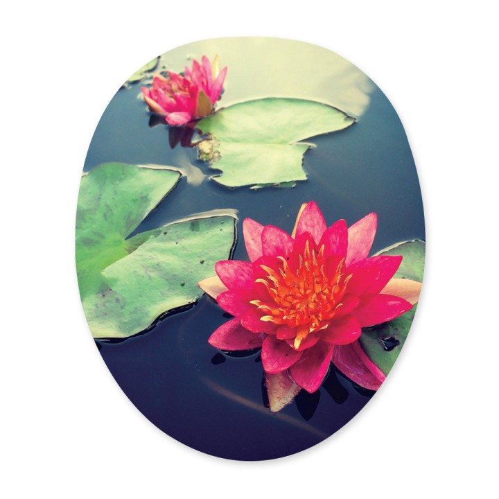 Le Sticker Lotus Papado®