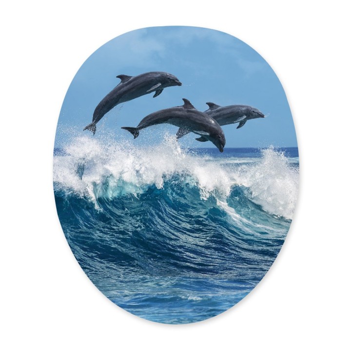 Le Sticker Dauphins Papado®