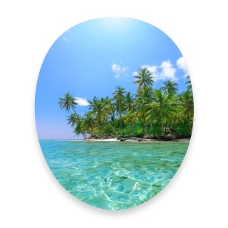 Sticker Caribe Papado® - Resistente y duradero para WC