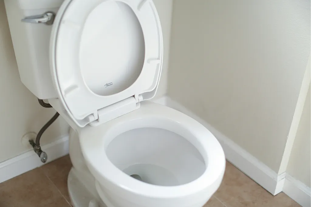 toilette lunette relevée